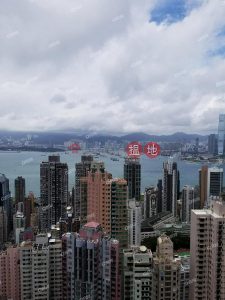 維港海景 三旁連車位《俊賢花園租盤》