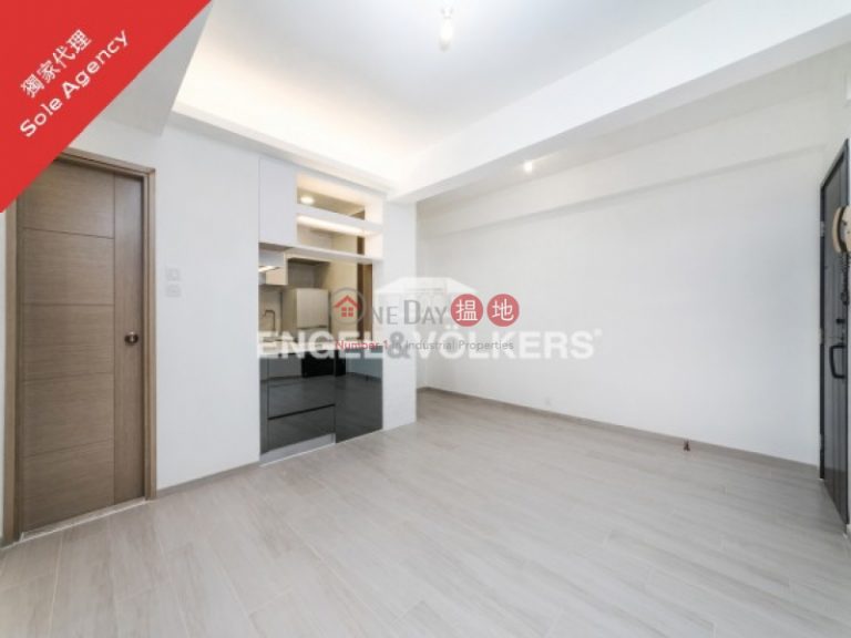 Newly Renovated Apartment in Caineway Mansion