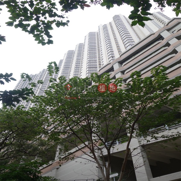 4 Bedroom Luxury Flat for Rent in Mid-Levels East