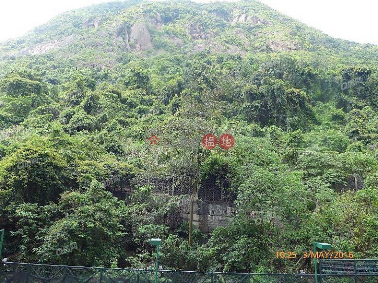 實用兩房 環境清靜《承德山莊租盤》
